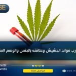 تجارب فوائد الحشيش على العلاقة الزوجية بين الوهم والخيال ... تعرف على 3 من أضراره على الجنس