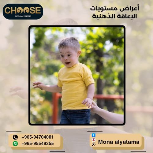 الإعاقة الذهنية